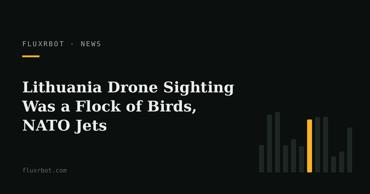 Lithuania Drone Sighting Was a Flock of Birds, NATO Jets